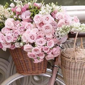 Meet your Posher, Cindi